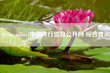 和县中国执行信息公开网 综合查询