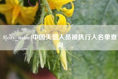 和县中国失信人员被执行人名单查询