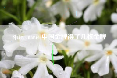 和县中国金牌得了几枚金牌