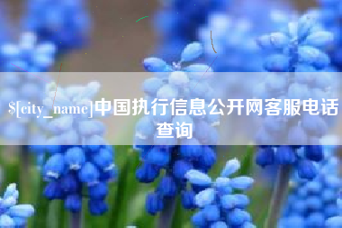 和县中国执行信息公开网客服电话查询