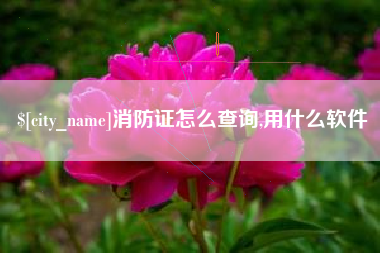 和县消防证怎么查询,用什么软件