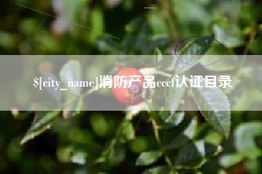 和县消防产品cccf认证目录
