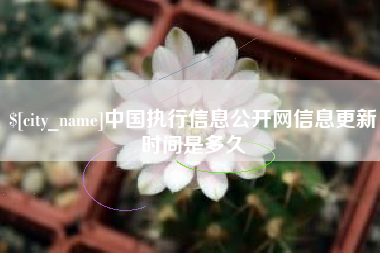 和县中国执行信息公开网信息更新时间是多久