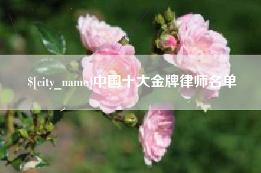 和县中国十大金牌律师名单