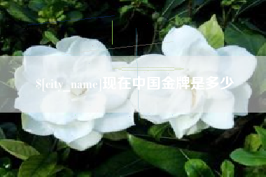 和县现在中国金牌是多少
