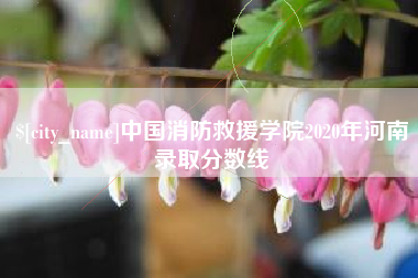 和县中国消防救援学院2020年河南录取分数线