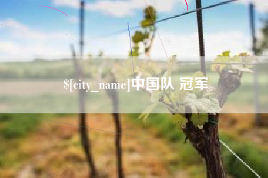 和县中国队 冠军
