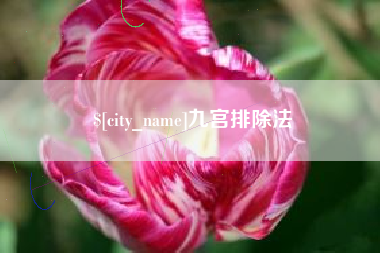 和县九宫排除法