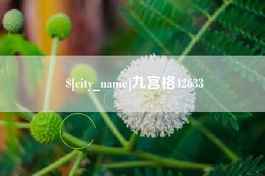 和县九宫格42633