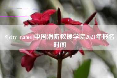 和县中国消防救援学院2021年报名时间