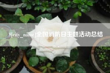 和县全国消防日主题活动总结