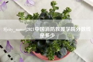 和县2021中国消防救援学院分数线是多少