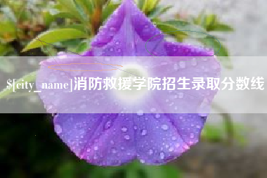 和县消防救援学院招生录取分数线