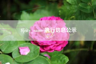 和县执行信息公示