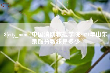 和县中国消防救援学院2021年山东录取分数线是多少