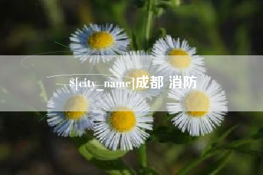 和县成都 消防