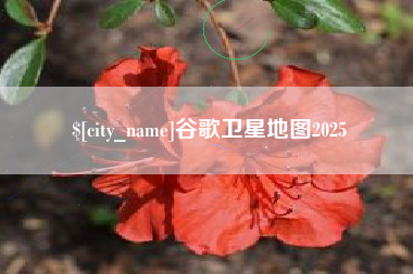 和县谷歌卫星地图2025