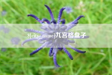 和县九宫格盘子