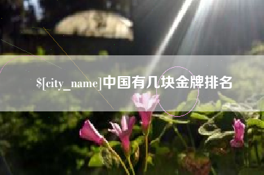 和县中国有几块金牌排名