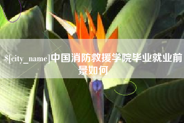 和县中国消防救援学院毕业就业前景如何