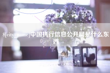 和县中国执行信息公开网是什么东西