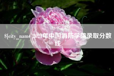 和县2021年中国消防学院录取分数线