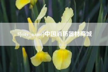 和县中国消防器材商城