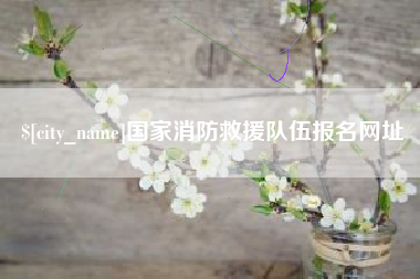 和县国家消防救援队伍报名网址