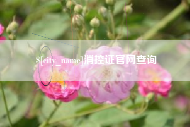 和县消控证官网查询