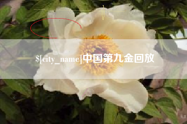 和县中国第九金回放