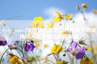 和县中国执行信息公开网查不到被执行人是不是已解除限高