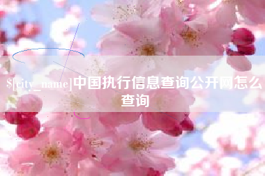 和县中国执行信息查询公开网怎么查询