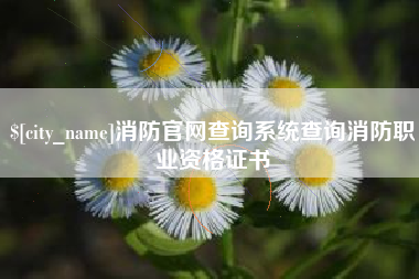 和县消防官网查询系统查询消防职业资格证书