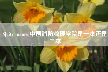 和县中国消防救援学院是一本还是二本