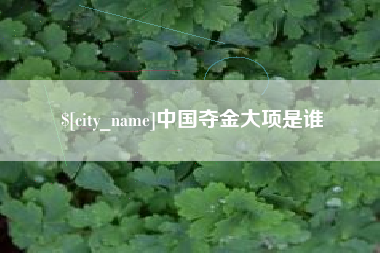和县中国夺金大项是谁