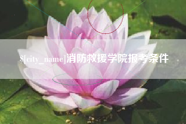 和县消防救援学院报考条件