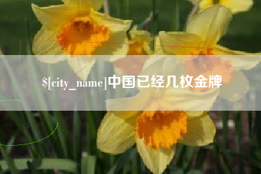 和县中国已经几枚金牌