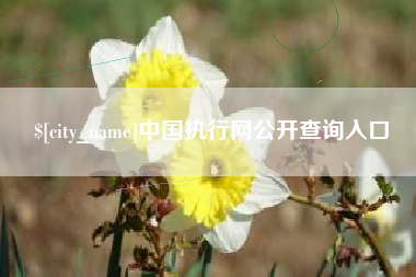 和县中国执行网公开查询入口