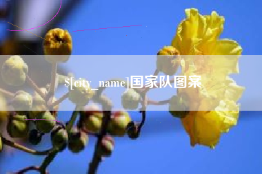 和县国家队图案