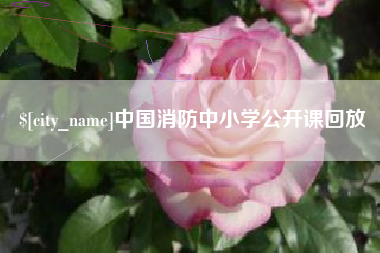 和县中国消防中小学公开课回放