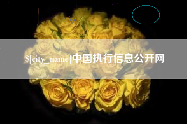 和县中国执行信息公开网