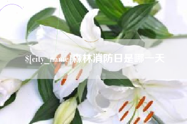 和县森林消防日是哪一天