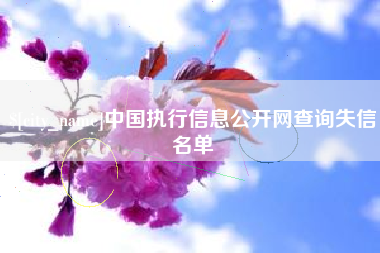 和县中国执行信息公开网查询失信名单