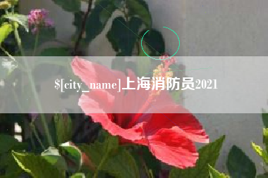 和县上海消防员2021