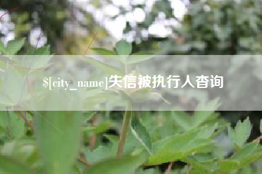 和县失信被执行人杳询