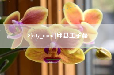 和县邱县王子磊