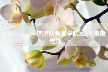 和县中国消防救援学院2020年录取结果