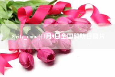 和县11月9日全国消防日图片