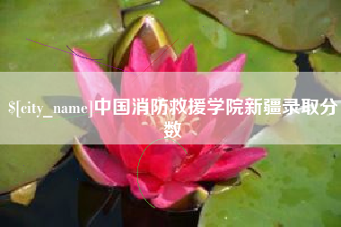 和县中国消防救援学院新疆录取分数