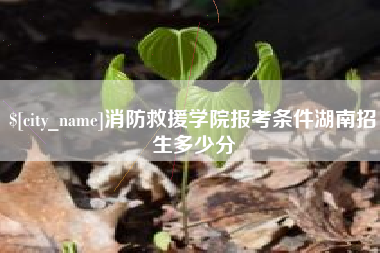 和县消防救援学院报考条件湖南招生多少分